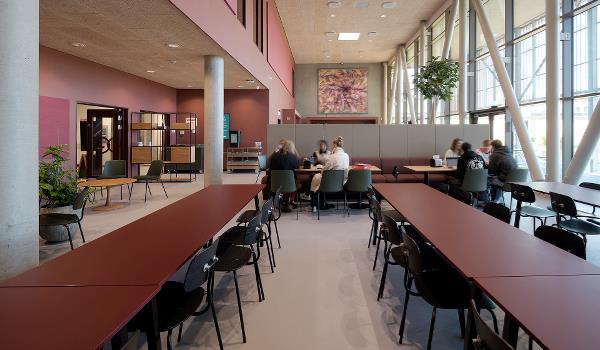 TietgenCity - Den nye Skole